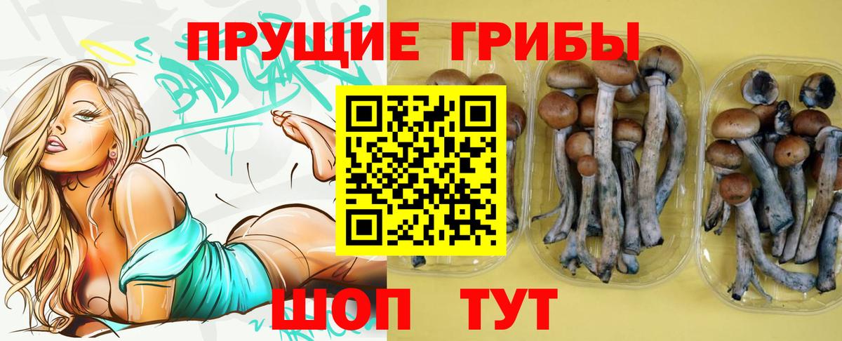 Галлюциногенные грибы GOLDEN TEACHER  Вход с VPN  Дзержинский  Галлюциногенные грибы мухоморы 
